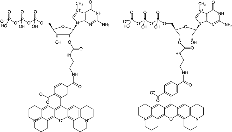 Structural formula of EDA-m7GTP-6-ROX (2'/3'-O-(2-Aminoethyl-carbamoyl)-7-methyl-guanosine-5'-triphosphate, labeled with 6-ROX, Triethylammonium salt)