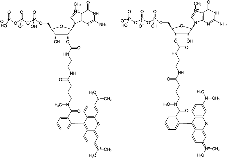 Structural formula of EDA-m7GTP-ATTO-Thio12 (2'/3'-O-(2-Aminoethyl-carbamoyl)-7-methyl-guanosine-5'-triphosphate, labeled with ATTO Thio12, Triethylammonium salt)