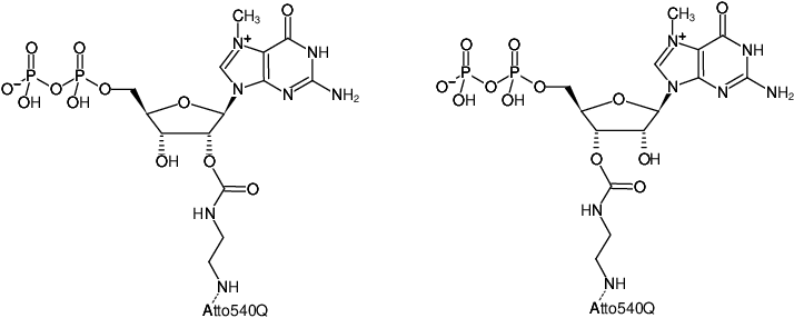 Structural formula of EDA-m7GDP-ATTO-540Q (2'/3'-O-(2-Aminoethyl-carbamoyl)-7-methyl-guanosine-5'-diphosphate, labeled with ATTO 540Q, Triethylammonium salt)