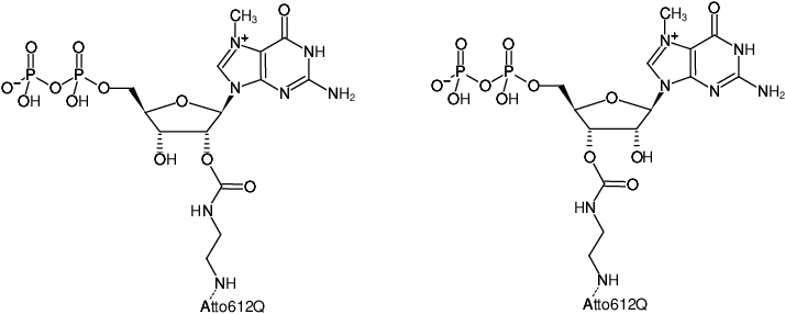 Structural formula of EDA-m7GDP-ATTO-612Q (2'/3'-O-(2-Aminoethyl-carbamoyl)-7-methyl-guanosine-5'-diphosphate, labeled with ATTO 612Q, Triethylammonium salt)