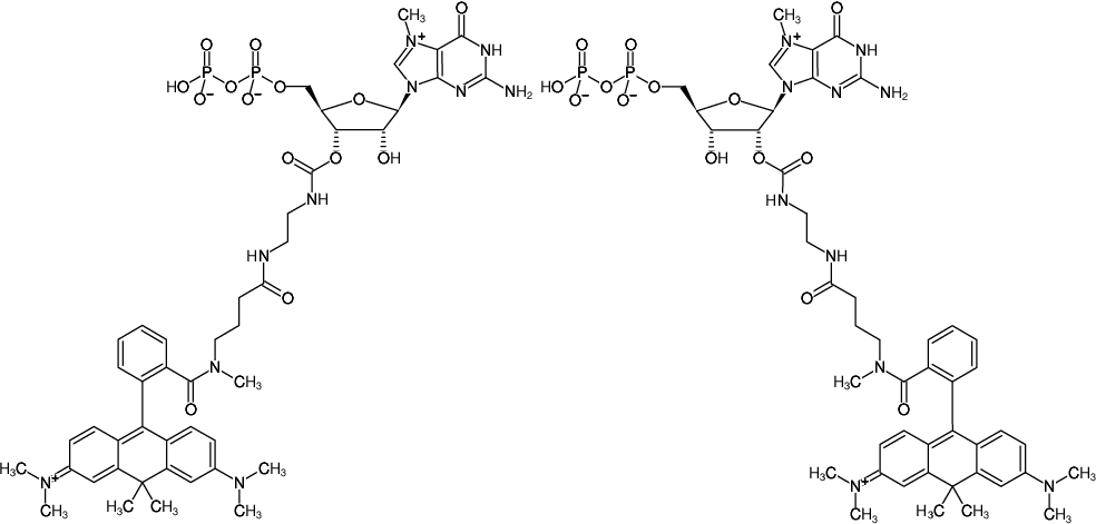 Structural formula of EDA-m7GDP-ATTO-620 (2'/3'-O-(2-Aminoethyl-carbamoyl)-7-methyl-guanosine-5'-diphosphate, labeled with ATTO 620, Triethylammonium salt)