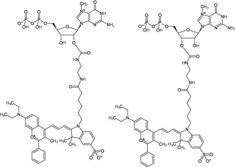 Structural formula of EDA-m7GDP-DYQ-660 (2'/3'-O-(2-Aminoethyl-carbamoyl)-7-methyl-guanosine-5'-diphosphate, labeled with DYQ 660, Triethylammonium salt)