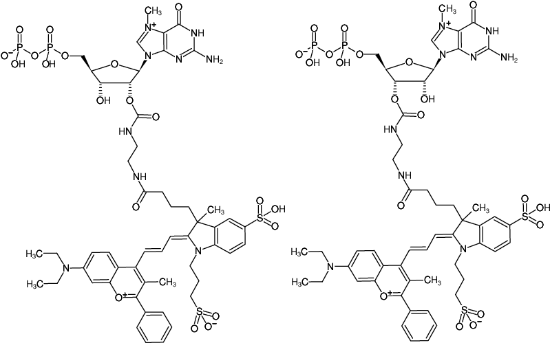 Structural formula of EDA-m7GDP-DYQ-661 (2'/3'-O-(2-Aminoethyl-carbamoyl)-7-methyl-guanosine-5'-diphosphate, labeled with DYQ 661, Triethylammonium salt)