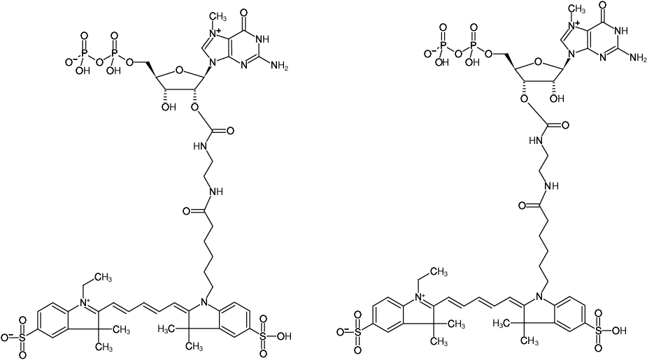 Structural formula of EDA-m7GDP-Cy5 (2'/3'-O-(2-Aminoethyl-carbamoyl)-7-methyl-guanosine-5'-diphosphate, labeled with Cy5, Triethylammonium salt)