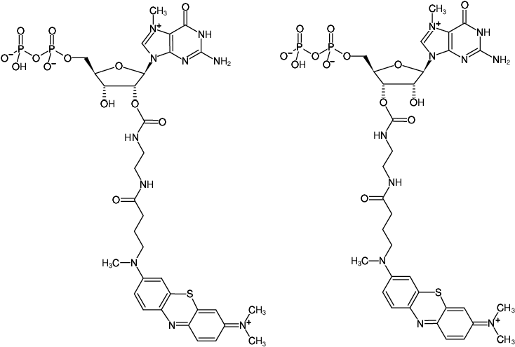 Structural formula of EDA-m7GDP-ATTO-MB2 (2'/3'-O-(2-Aminoethyl-carbamoyl)-7-methyl-guanosine-5'-diphosphate, labeled with ATTO MB2, Triethylammonium salt)