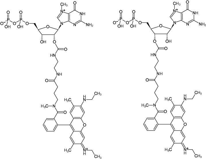 Structural formula of EDA-m7GDP-ATTO-Rho6G (2'/3'-O-(2-Aminoethyl-carbamoyl)-7-methyl-guanosine-5'-diphosphate, labeled with ATTO Rho6G, Triethylammonium salt)