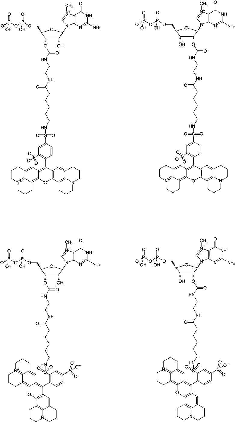 Structural formula of EDA-m7GDP-Texas Red (2'/3'-O-(2-Aminoethyl-carbamoyl)-7-methyl-guanosine-5'-diphosphate, labeled with Texas Red, Triethylammonium salt)