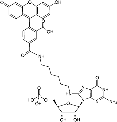 Structural formula of 8-(6-Aminohexyl)-amino-GMP-5-FAM (8-(6-Aminohexyl)-amino-guanosine-5'-monophosphate, labeled with 5 FAM, Triethylammonium salt)