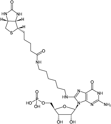 Structural formula of 8-(6-Aminohexyl)-amino-GMP-Biotin (8-(6-Aminohexyl)-amino-guanosine-5'-monophosphate-Biotin, Triethylammonium salt)