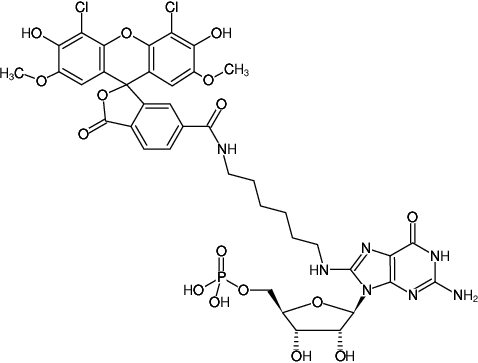 Structural formula of 8-(6-Aminohexyl)-amino-GMP-6-JOE (8-(6-Aminohexyl)-amino-guanosine-5'-monophosphate, labeled with 6-JOE, Triethylammonium salt)