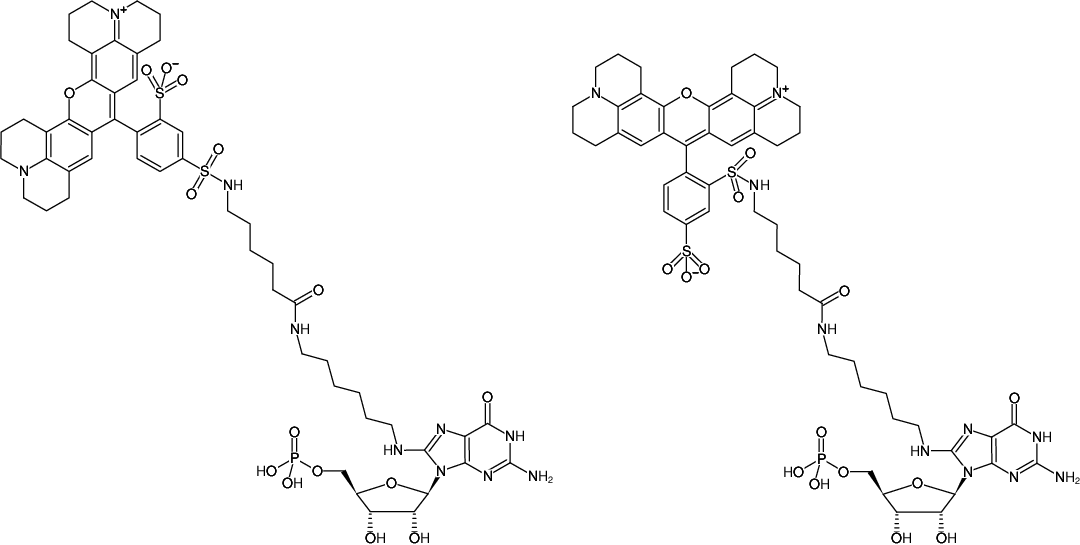 Structural formula of 8-(6-Aminohexyl)-amino-GMP-Texas Red (8-(6-Aminohexyl)-amino-guanosine-5'-monophosphate, labeled with Texas Red, Triethylammonium salt)