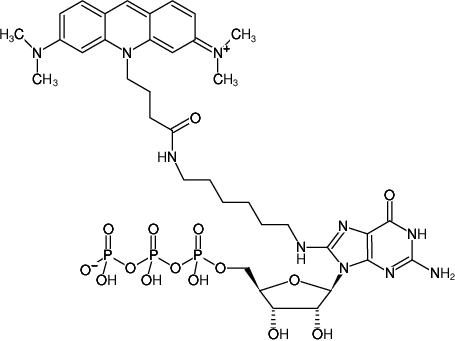 Structural formula of 8-(6-Aminohexyl)-amino-GTP-ATTO-495 (8-(6-Aminohexyl)-amino-guanosine-5'-triphosphate, labeled with ATTO 495, Triethylammonium salt)