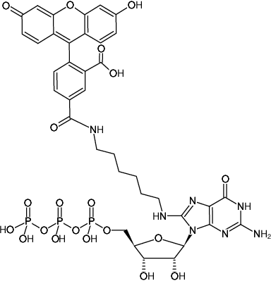 Structural formula of 8-(6-Aminohexyl)-amino-GTP-5-FAM (8-(6-Aminohexyl)-amino-guanosine-5'-triphosphate, labeled with 5 FAM, Triethylammonium salt)