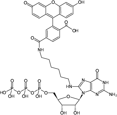 Structural formula of 8-(6-Aminohexyl)-amino-GTP-6-FAM (8-(6-Aminohexyl)-amino-guanosine-5'-triphosphate, labeled with 6 FAM, Triethylammonium salt)