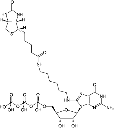 Structural formula of 8-(6-Aminohexyl)-amino-GTP-Biotin (8-(6-Aminohexyl)-amino-guanosine-5'-triphosphate-Biotin, Triethylammonium salt)