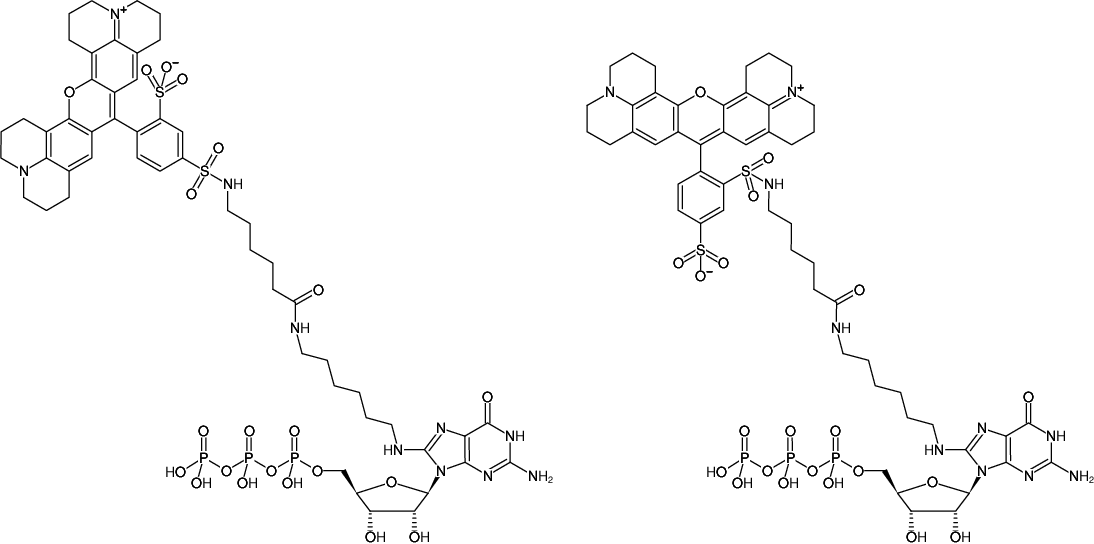 Structural formula of 8-(6-Aminohexyl)-amino-GTP-Texas Red (8-(6-Aminohexyl)-amino-guanosine-5'-triphosphate, labeled with Texas Red, Triethylammonium salt)