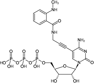 Structural formula of 5-Propargylamino-CTP-MANT (5-Propargylamino-cytidine-5'-triphosphate, labeled with MANT, Triethylammonium salt)