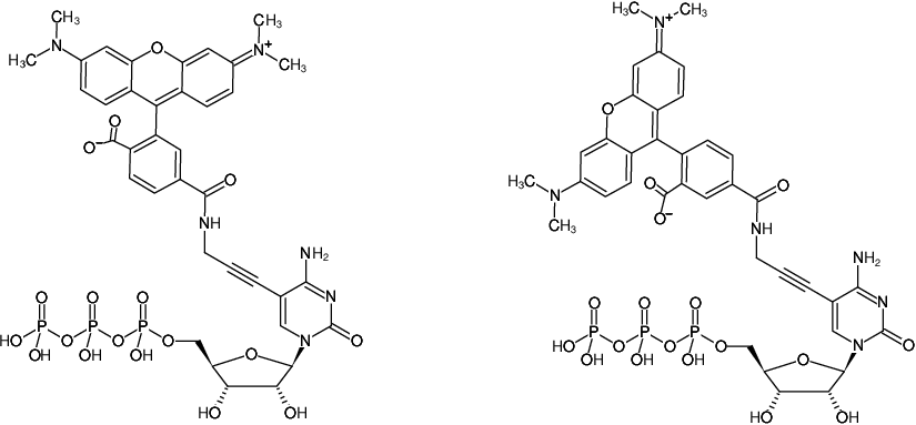 Structural formula of 5-Propargylamino-CTP-5/6-TAMRA (5-Propargylamino-cytidine-5'-triphosphate, labeled with 5/6-TAMRA, Triethylammonium salt)