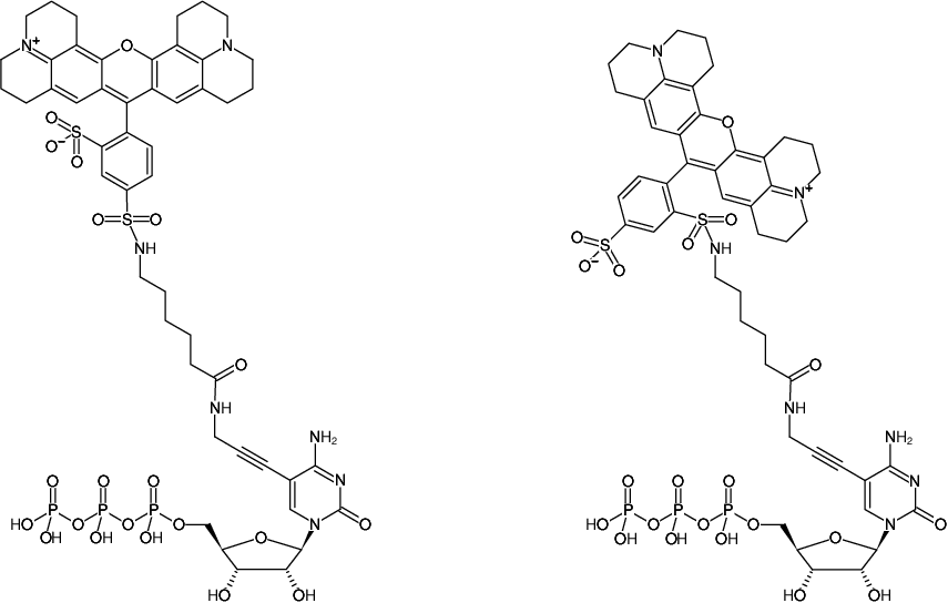 Structural formula of 5-Propargylamino-CTP-Texas Red (5-Propargylamino-cytidine-5'-triphosphate, labeled with Texas Red, Triethylammonium salt)