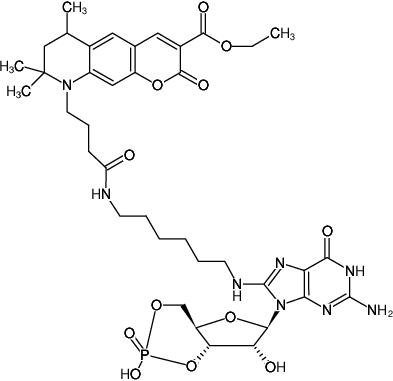 Structural formula of 8-(6-Aminohexyl)-amino-cGMP-ATTO-425 (8-(6-Aminohexyl)-amino-guanosine-3',5'-cyclic monophosphate, labeled with ATTO 425, Triethylammonium salt)