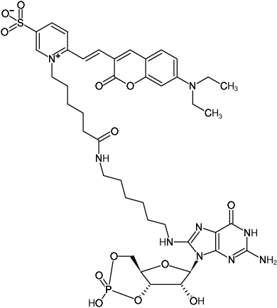 Structural formula of 8-(6-Aminohexyl)-amino-cGMP-DY-480XL (8-(6-Aminohexyl)-amino-guanosine-3',5'-cyclic monophosphate, labeled with DY 480XL, Triethylammonium salt)