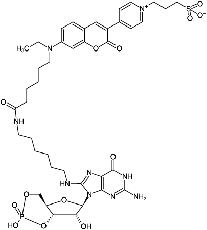 Structural formula of 8-(6-Aminohexyl)-amino-cGMP-DY-485XL (8-(6-Aminohexyl)-amino-guanosine-3',5'-cyclic monophosphate, labeled with DY 485XL)