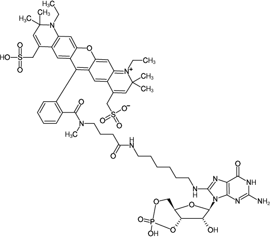 Structural formula of 8-(6-Aminohexyl)-amino-cGMP-ATTO-594 (8-(6-Aminohexyl)-amino-guanosine-3',5'-cyclic monophosphate, labeled with ATTO 594, Triethylammonium salt)