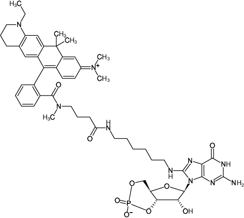 Structural formula of 8-(6-Aminohexyl)-amino-cGMP-ATTO-633 (8-(6-Aminohexyl)-amino-guanosine-3',5'-cyclic monophosphate, labeled with ATTO 633, Triethylammonium salt)