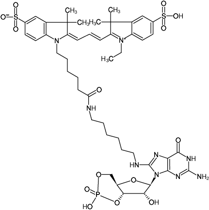 Structural formula of 8-(6-Aminohexyl)-amino-cGMP-Cy3 (8-(6-Aminohexyl)-amino-guanosine-3',5'-cyclic monophosphate, labeled with Cy3, Triethylammonium salt)