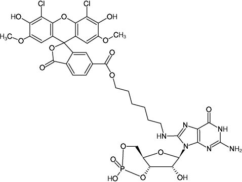 Structural formula of 8-(6-Aminohexyl)-amino-cGMP-6-JOE (8-(6-Aminohexyl)-amino-guanosine-3',5'-cyclic monophosphate, labeled with 6-JOE, Triethylammonium salt)