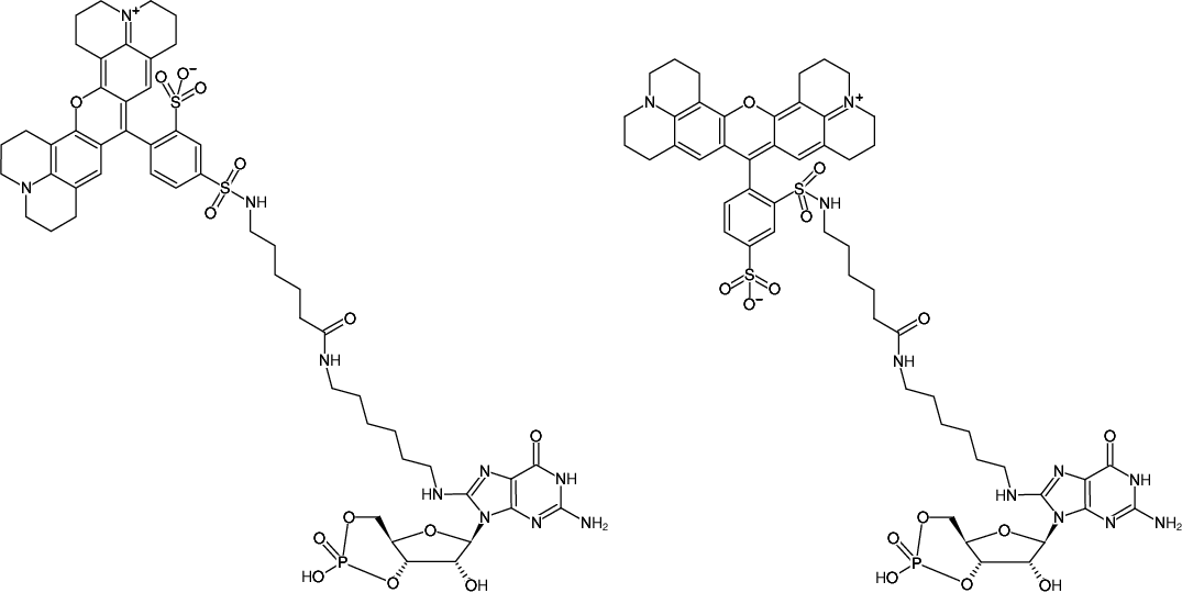 Structural formula of 8-(6-Aminohexyl)-amino-cGMP-Texas Red (8-(6-Aminohexyl)-amino-guanosine-3',5'-cyclic monophosphate, labeled with Texas Red, Triethylammonium salt)