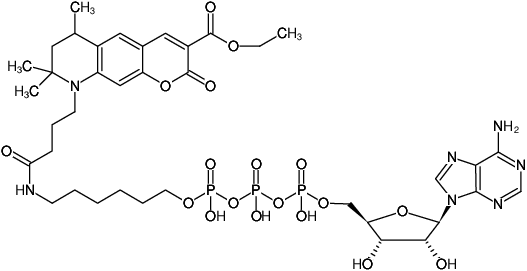 Structural formula of γ-(6-Aminohexyl)-ATP-ATTO-425 (γ-(6-Aminohexyl)-adenosine-5'-triphosphate, labeled with ATTO 425, Triethylammonium salt)