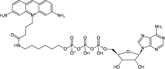 Structural formula of γ-(6-Aminohexyl)-ATP-ATTO-465 (γ-(6-Aminohexyl)-adenosine-5'-triphosphate, labeled with ATTO 465, Triethylammonium salt)