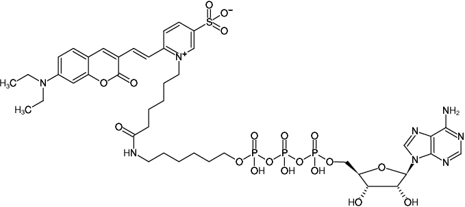 Structural formula of γ-(6-Aminohexyl)-ATP-DY-480XL (γ-(6-Aminohexyl)-adenosine-5'-triphosphate, labeled with DY 480XL, Triethylammonium salt)