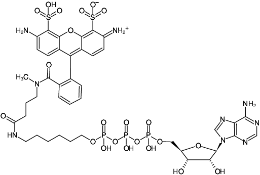 Structural formula of γ-(6-Aminohexyl)-ATP-ATTO-488 (γ-(6-Aminohexyl)-adenosine-5'-triphosphate, labeled with ATTO 488, Triethylammonium salt)