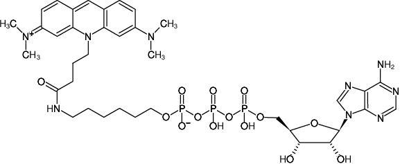 Structural formula of γ-(6-Aminohexyl)-ATP-ATTO-495 (γ-(6-Aminohexyl)-adenosine-5'-triphosphate, labeled with ATTO 495, Triethylammonium salt)