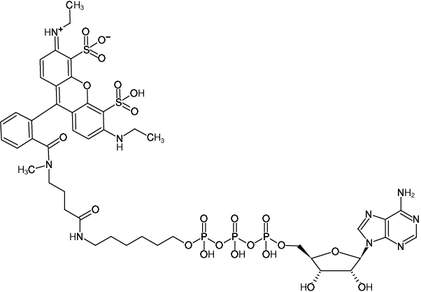 Structural formula of γ-(6-Aminohexyl)-ATP-ATTO-532 (γ-(6-Aminohexyl)-adenosine-5'-triphosphate, labeled with ATTO 532, Triethylammonium salt)