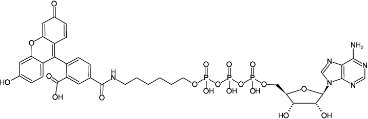 Structural formula of γ-(6-Aminohexyl)-ATP-5-FAM (γ-(6-Aminohexyl)-adenosine-5'-triphosphate, labeled with 5 FAM, Triethylammonium salt)