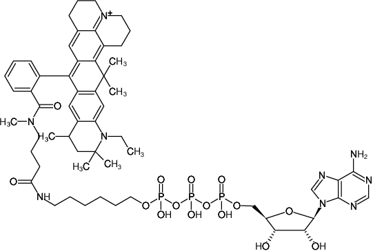 Structural formula of γ-(6-Aminohexyl)-ATP-ATTO-647N (γ-(6-Aminohexyl)-adenosine-5'-triphosphate, labeled with ATTO 647N, Triethylammonium salt)