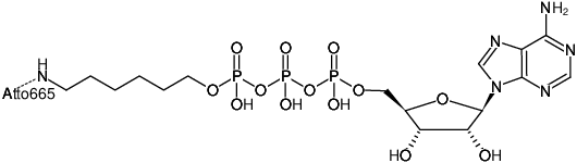 Structural formula of γ-(6-Aminohexyl)-ATP-ATTO-665 (γ-(6-Aminohexyl)-adenosine-5'-triphosphate, labeled with ATTO 665, Triethylammonium salt)