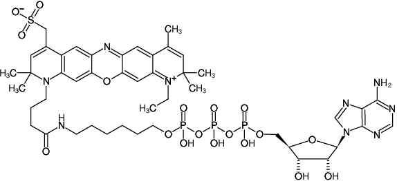 Structural formula of γ-(6-Aminohexyl)-ATP-ATTO-700 (γ-(6-Aminohexyl)-adenosine-5'-triphosphate, labeled with ATTO 700, Triethylammonium salt)