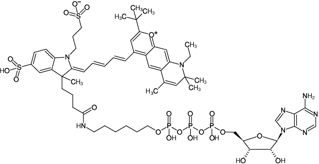 Structural formula of γ-(6-Aminohexyl)-ATP-DY-751 (γ-(6-Aminohexyl)-adenosine-5'-triphosphate, labeled with DY 751, Triethylammonium salt)