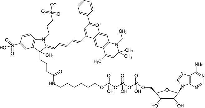 Structural formula of γ-(6-Aminohexyl)-ATP-DY-776 (γ-(6-Aminohexyl)-adenosine-5'-triphosphate, labeled with DY 776, Triethylammonium salt)