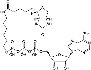 Structural formula of γ-(6-Aminohexyl)-ATP-Biotin (γ-(6-Aminohexyl)-adenosine-5'-triphosphate-Biotin, Triethylammonium salt)