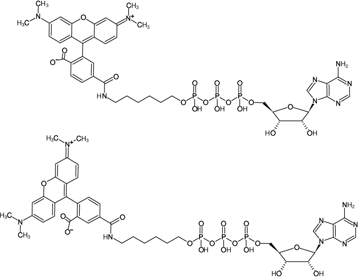 Structural formula of γ-(6-Aminohexyl)-ATP-5/6-TAMRA (γ-(6-Aminohexyl)-adenosine-5'-triphosphate, labeled with 5/6-TAMRA, Triethylammonium salt)