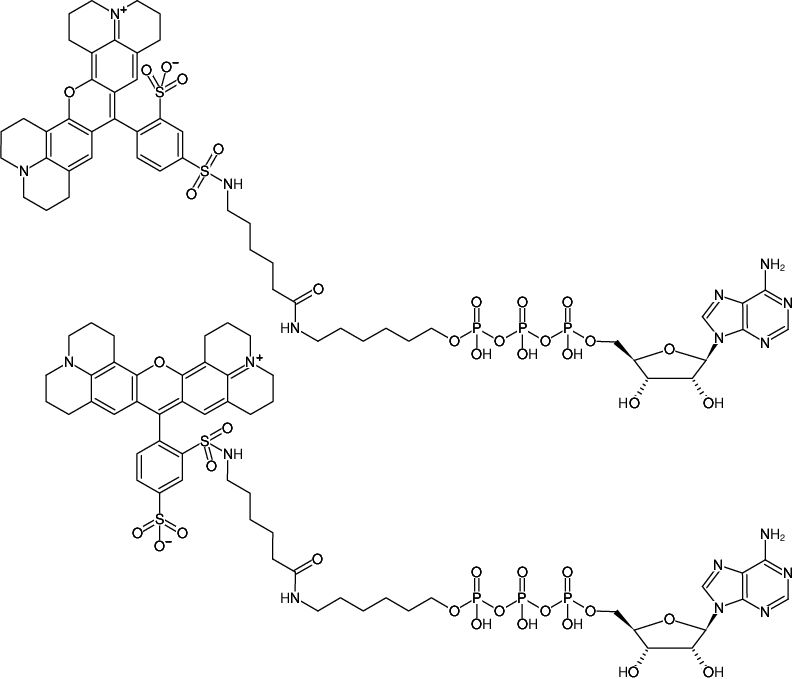 Structural formula of γ-(6-Aminohexyl)-ATP-Texas Red (γ-(6-Aminohexyl)-adenosine-5'-triphosphate, labeled with Texas Red, Triethylammonium salt)