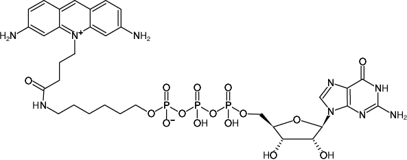 Structural formula of γ-(6-Aminohexyl)-GTP-ATTO-465 (γ-(6-Aminohexyl)-guanosine-5'-triphosphate, labeled with ATTO 465, Triethylammonium salt)