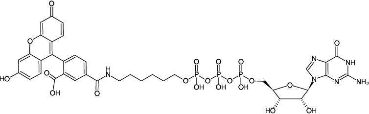 Structural formula of γ-(6-Aminohexyl)-GTP-5-FAM (γ-(6-Aminohexyl)-guanosine-5'-triphosphate, labeled with 5 FAM, Triethylammonium salt)