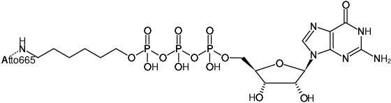 Structural formula of γ-(6-Aminohexyl)-GTP-ATTO-665 (γ-(6-Aminohexyl)-guanosine-5'-triphosphate, labeled with ATTO 665, Triethylammonium salt)