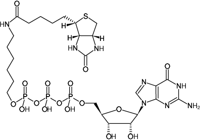 Structural formula of γ-(6-Aminohexyl)-GTP-Biotin (γ-(6-Aminohexyl)-guanosine-5'-triphosphate-Biotin, Triethylammonium salt)